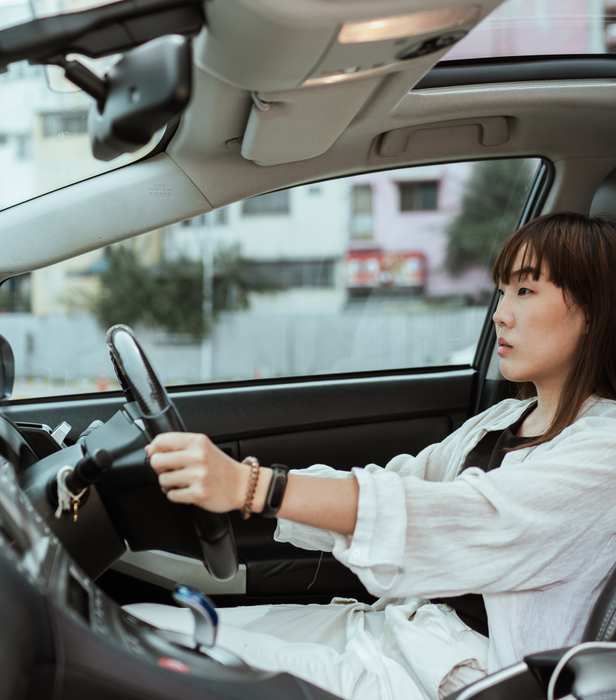 winterland express queenstown